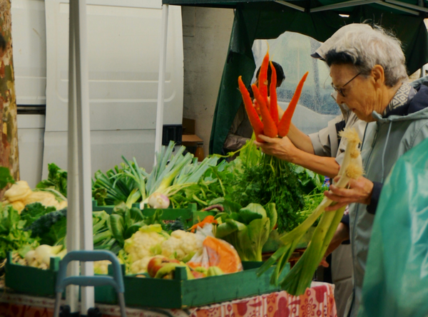 The overlooked plant compounds that help your brain stay sharp