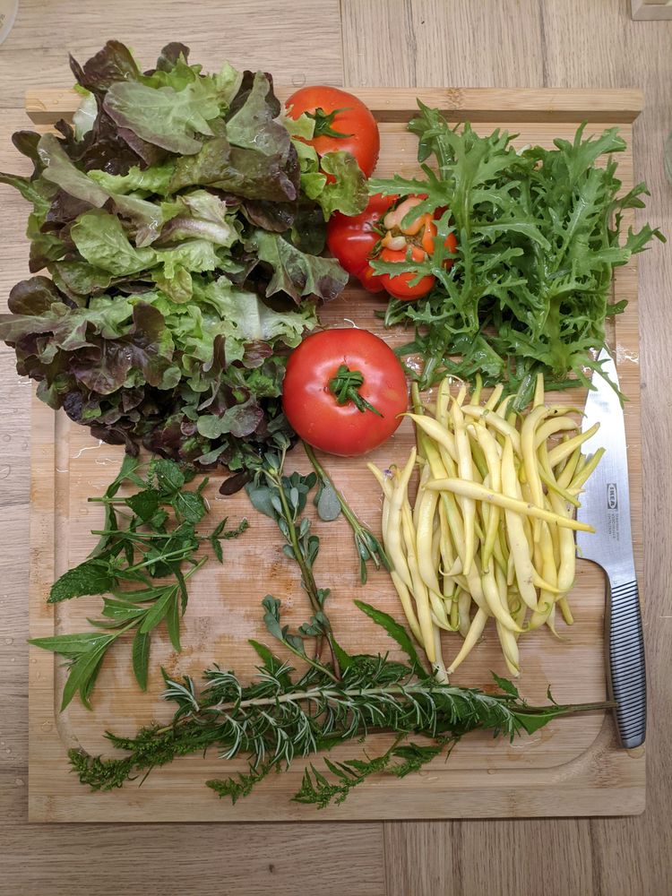 Why eating more fibre makes your digestion worse (& how to fix it without cutting healthy foods)