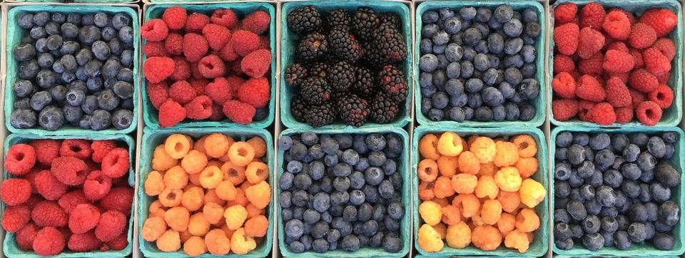 Evidence based nutrition made simple.