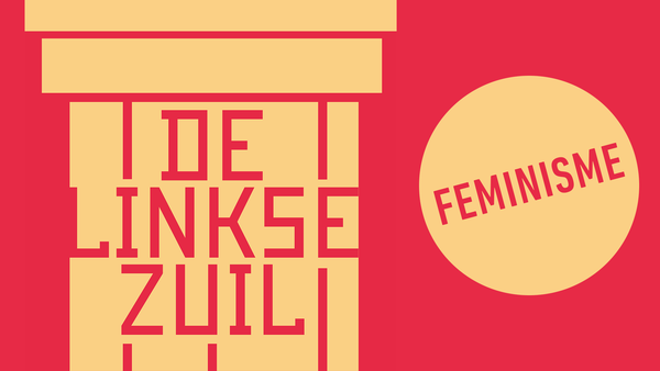 De Linkse Zuil - Feminisme
