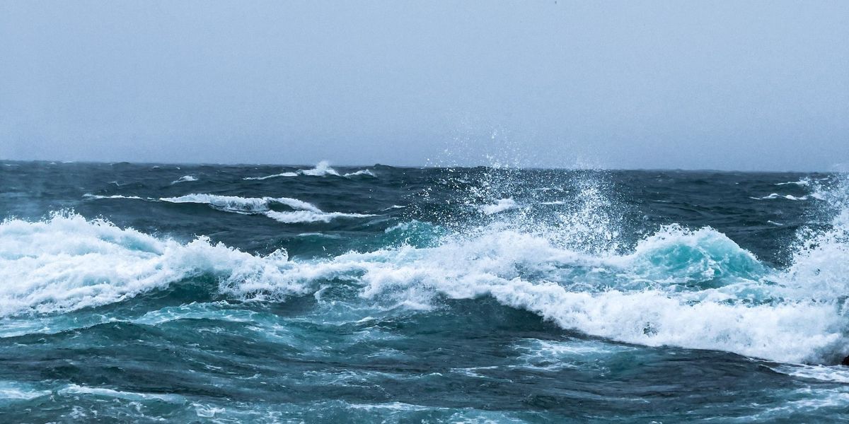 #9 KlimaGoodNews: Meeresschutz ist Klimaschutz