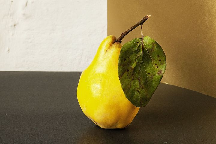 #34 KlimaGoodNews: Unsere Ernährung als Schlüssel zum Klimaschutz!