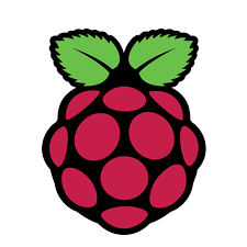 Raspberry Pi logo