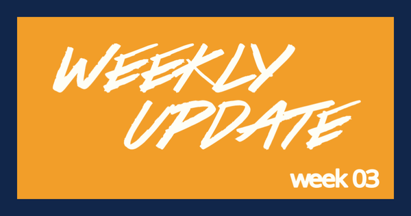 Weekly Update 3