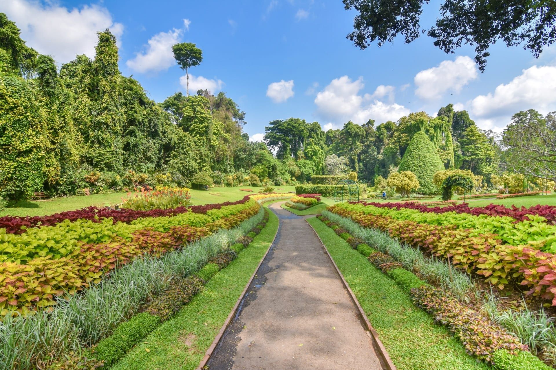 Royal Botanic Gardens, Peradeniya