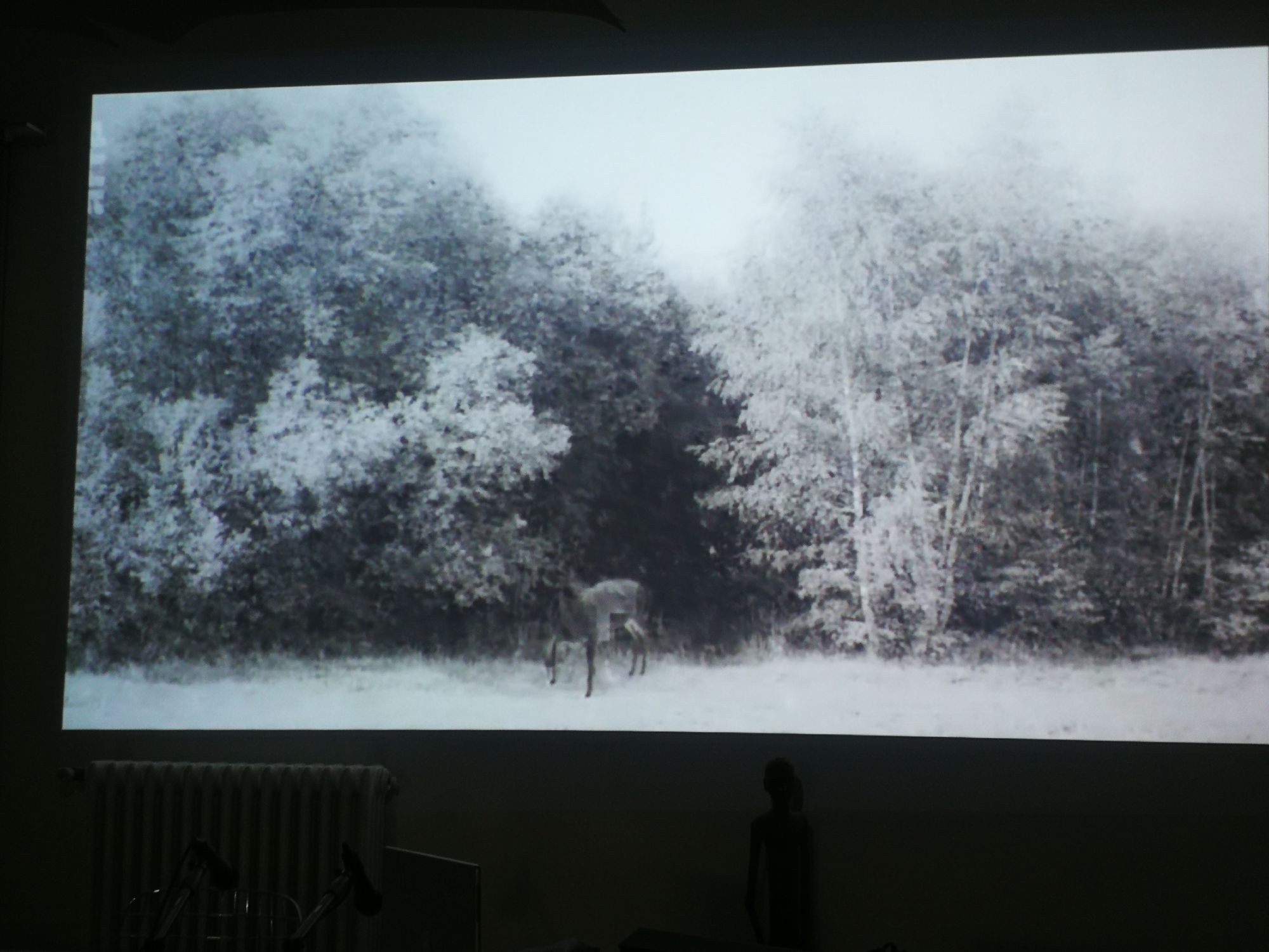 Foto di Kiarostami (grazie a Tenstar Community)