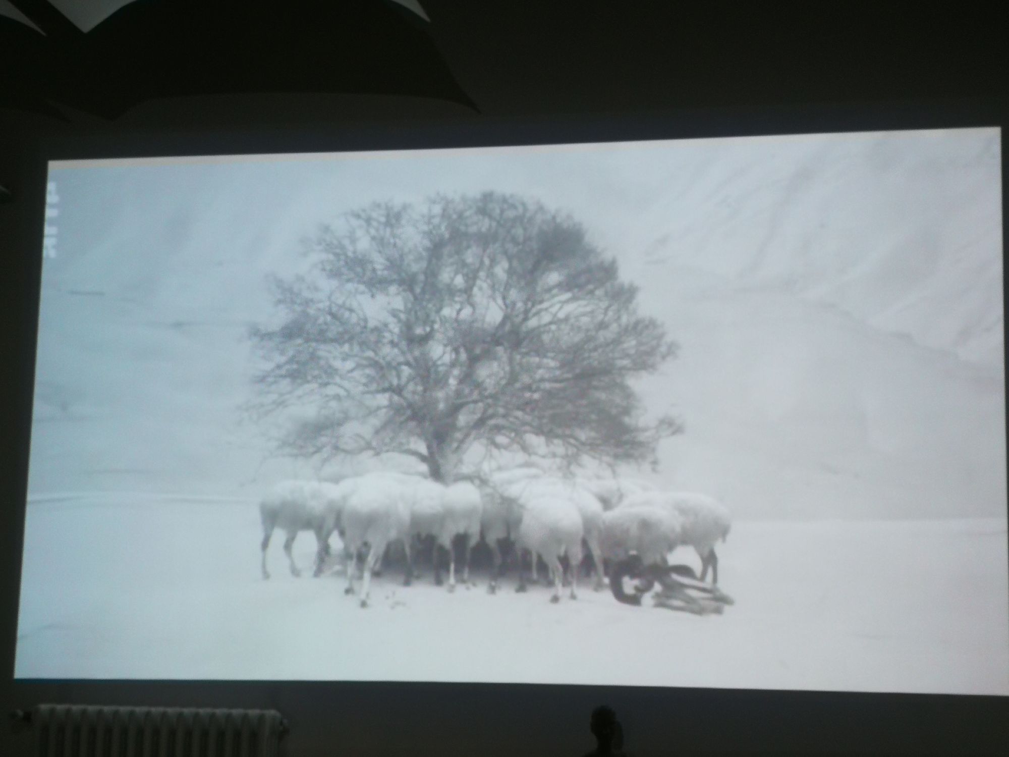 Foto di Kiarostami (grazie a Tenstar Community)