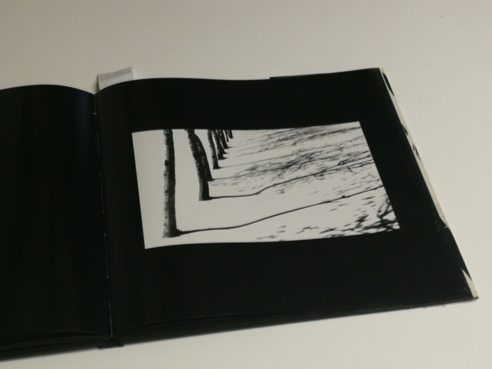 Foto di Kiarostami (grazie a Tenstar Community)