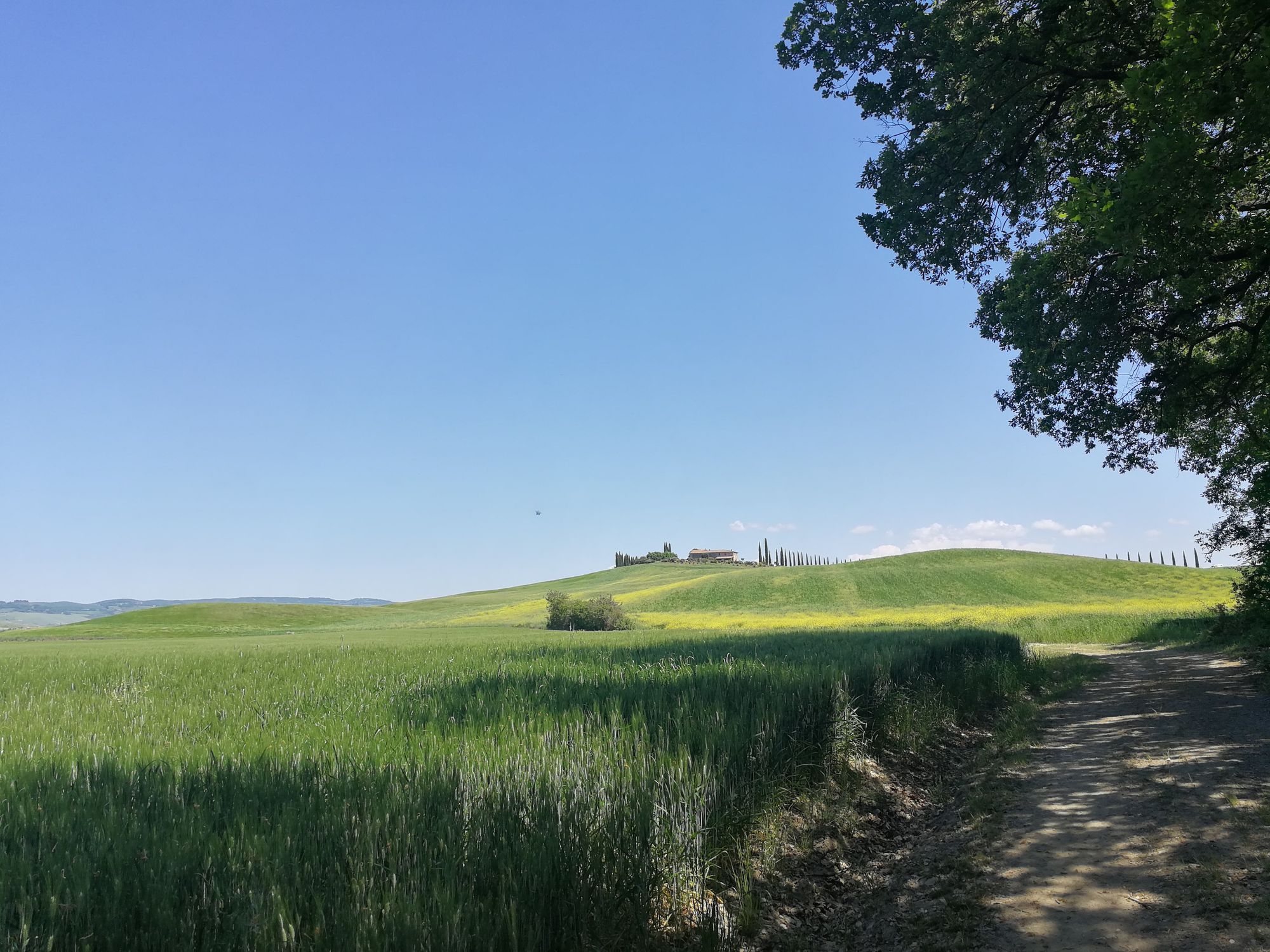 Cinque giorni sulla via Francigena