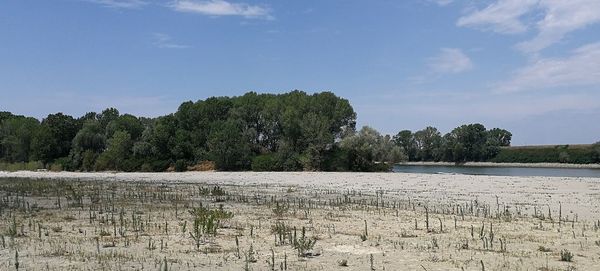 Siccità e rincari: una mappa concettuale