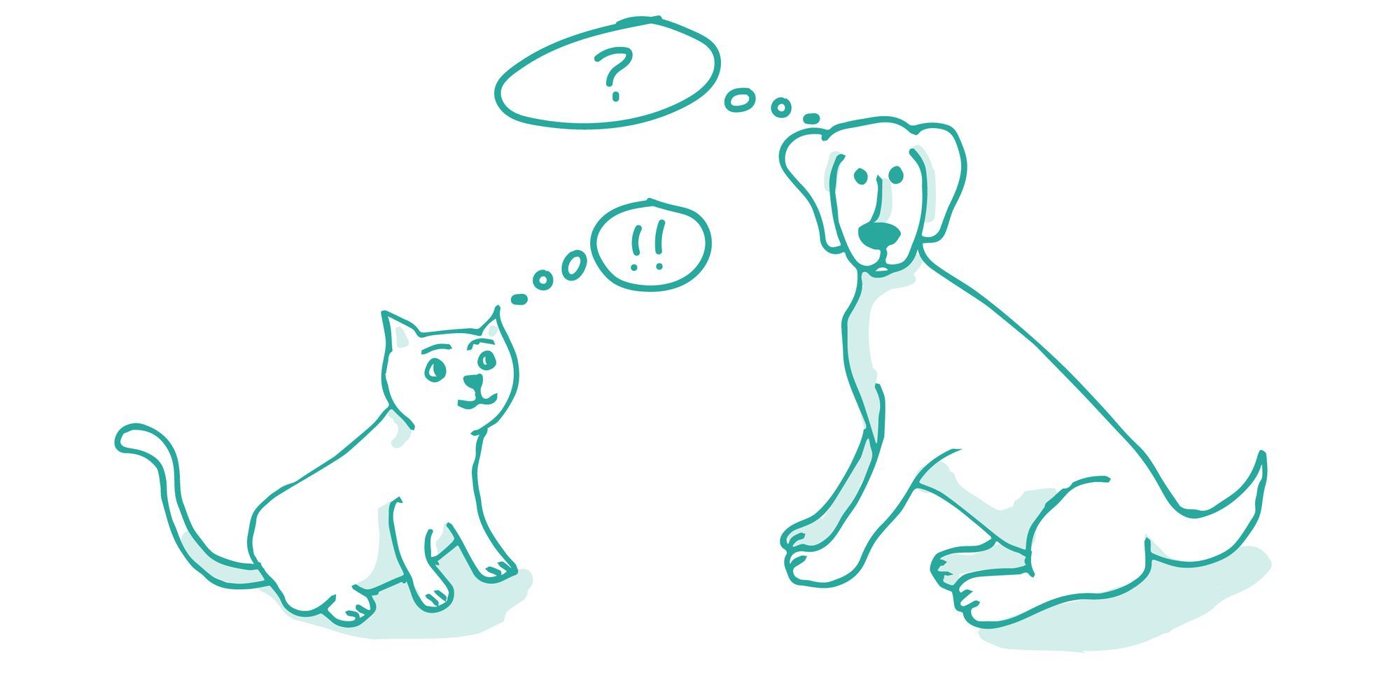 Why Don’t We Consider the Facts?