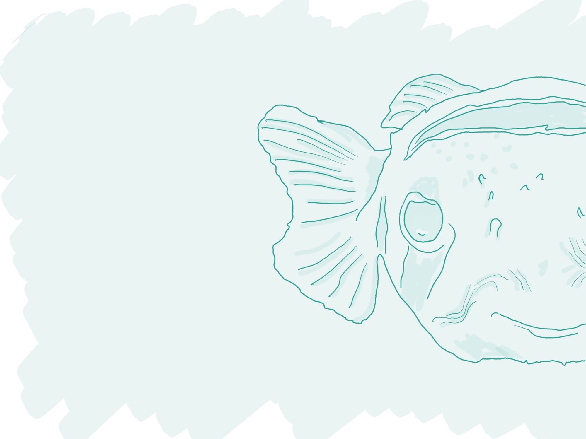 Houthi and The Blowfish