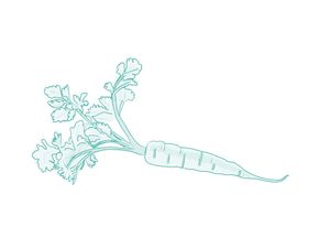 Cauliflower Dreamin’