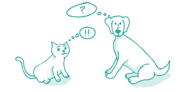 Why Don’t We Consider the Facts?