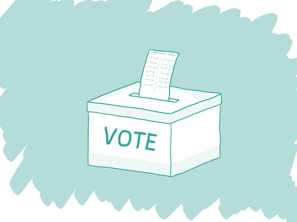 Four Weeks. A Guide to the Midterms.