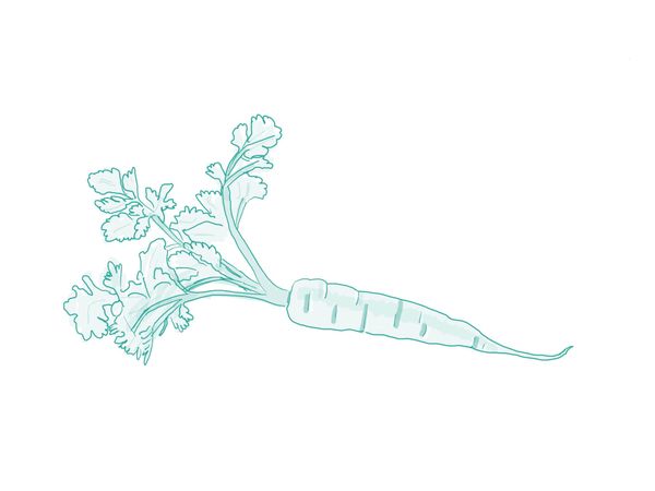 Cauliflower Dreamin’