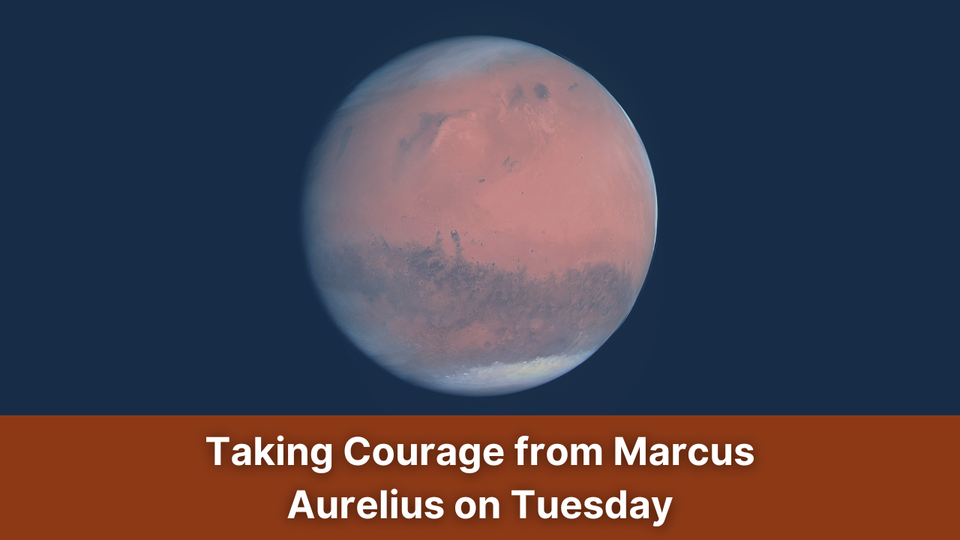 Taking Courage on Tuesdays