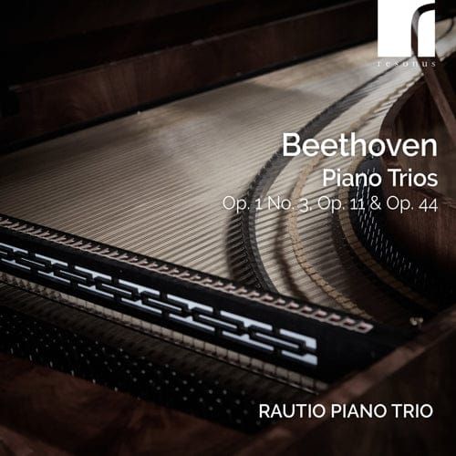 The Rautio Trio returns in Beethoven