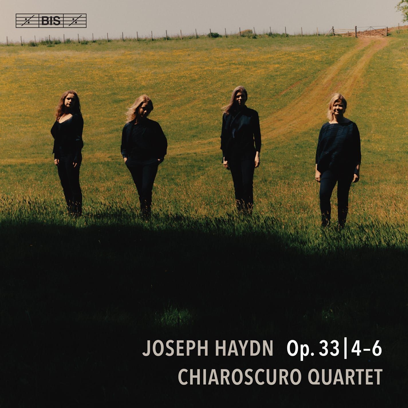 The Chiaroscuro Quartet return in Haydn