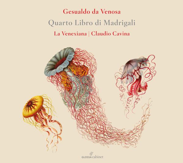 Carlo Gesualdo: Quarto Libro di Madrigali
