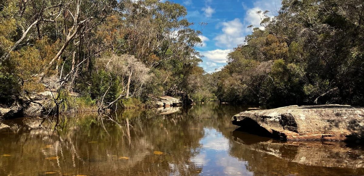 Escaping Plato's Cave With Mud And Music: