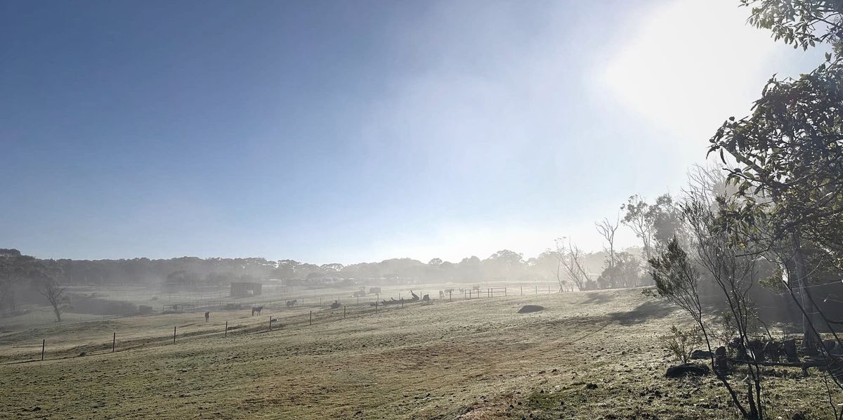 ASYMPTOTIC PURSUIT: The Episode 3 Playlist Deep-Dive