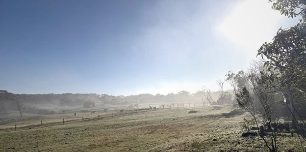 ASYMPTOTIC PURSUIT: The Episode 3 Playlist Deep-Dive