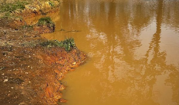 HONEST IGNORANCE: Music for Learning You Know Nothing