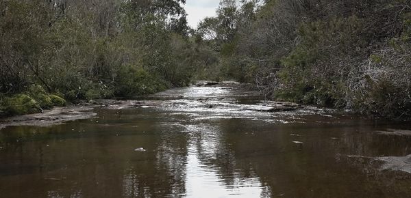 Flux State: The Episode 2 Playlist Explained