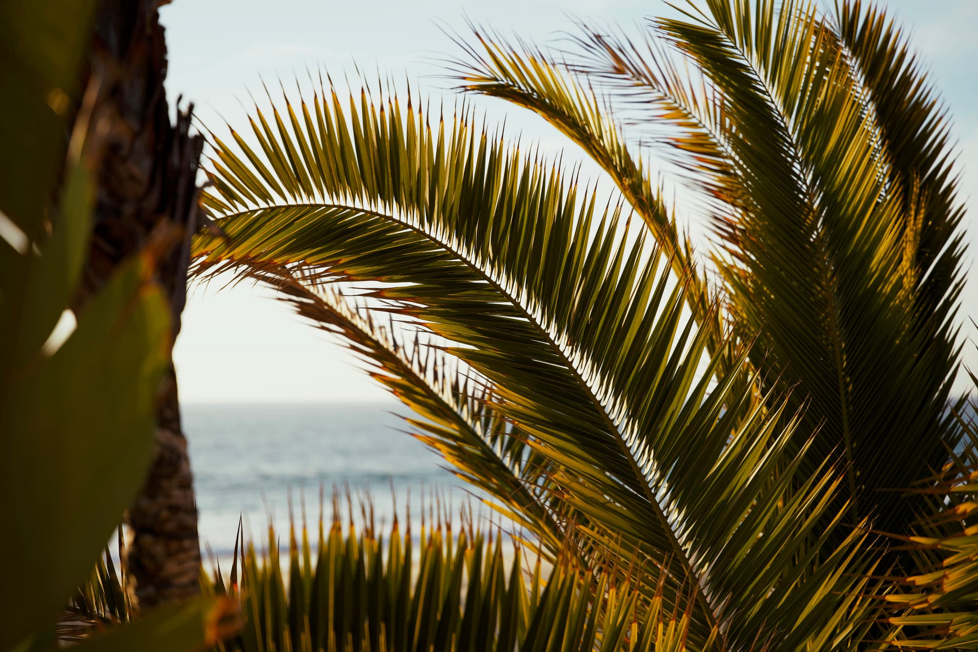 Gallery: Salt Creek
