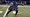 Deceleration and ACL Injury Risk?
