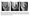 Stress Relaxation & Nutrition: NBA Case Study for Patellar Tendinopathy