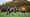 Strength Profiles, Season-Long Changes, and Reinjury Patterns in Elite Rugby Union