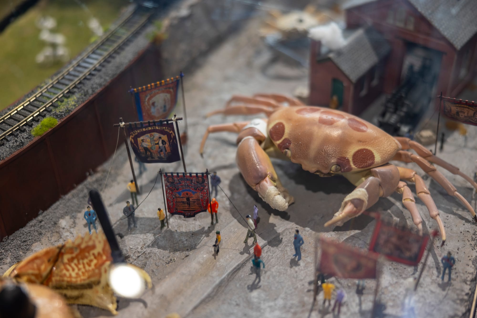 Crabs inside a diorama at Margate's Crab Museum