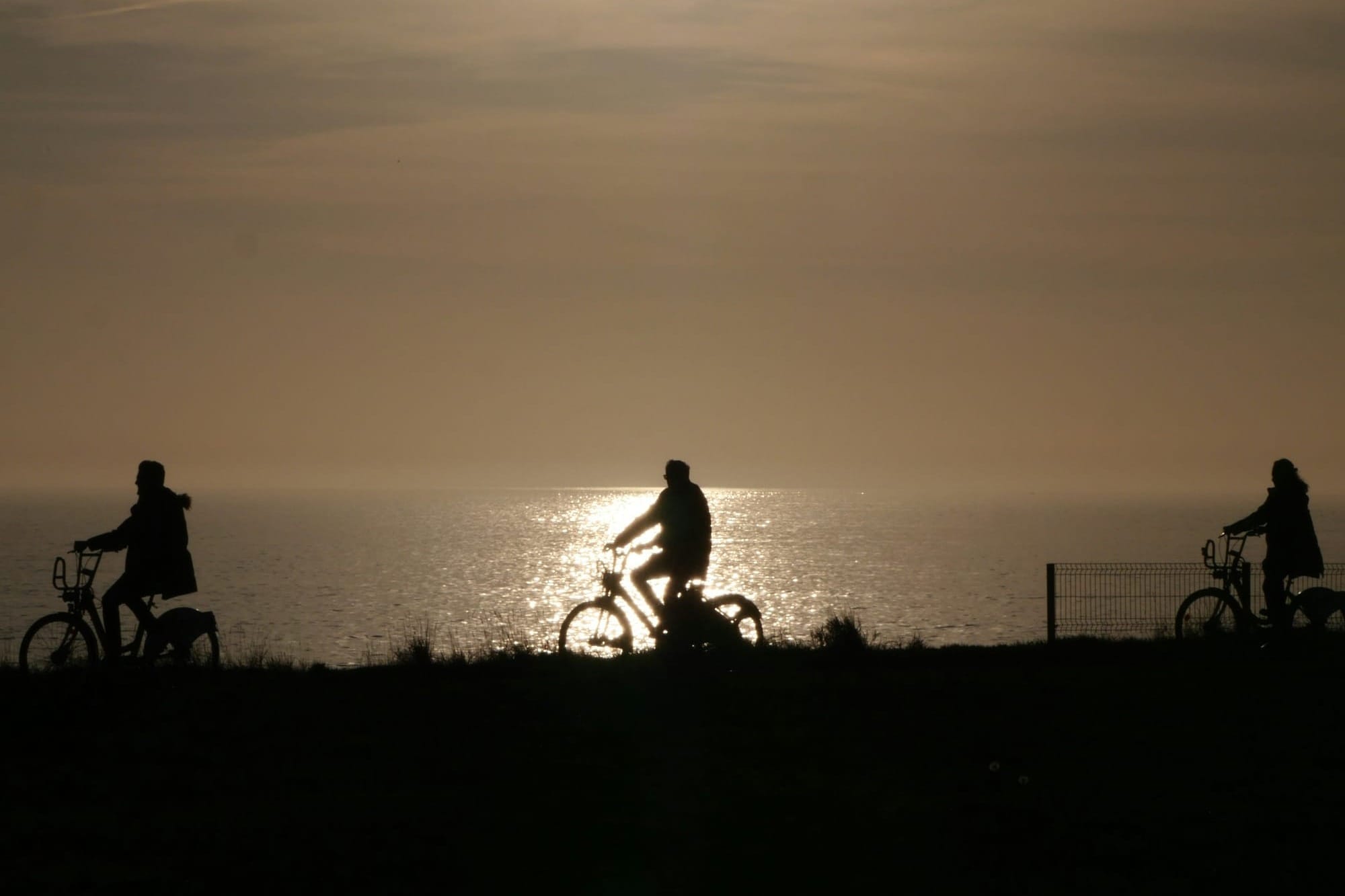 Bring the family along for the ride. Photo:Rafael Garcin/Unsplash