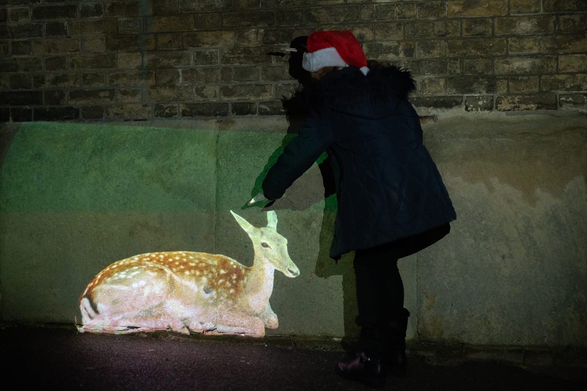 A child pets a deer projected onto a wall