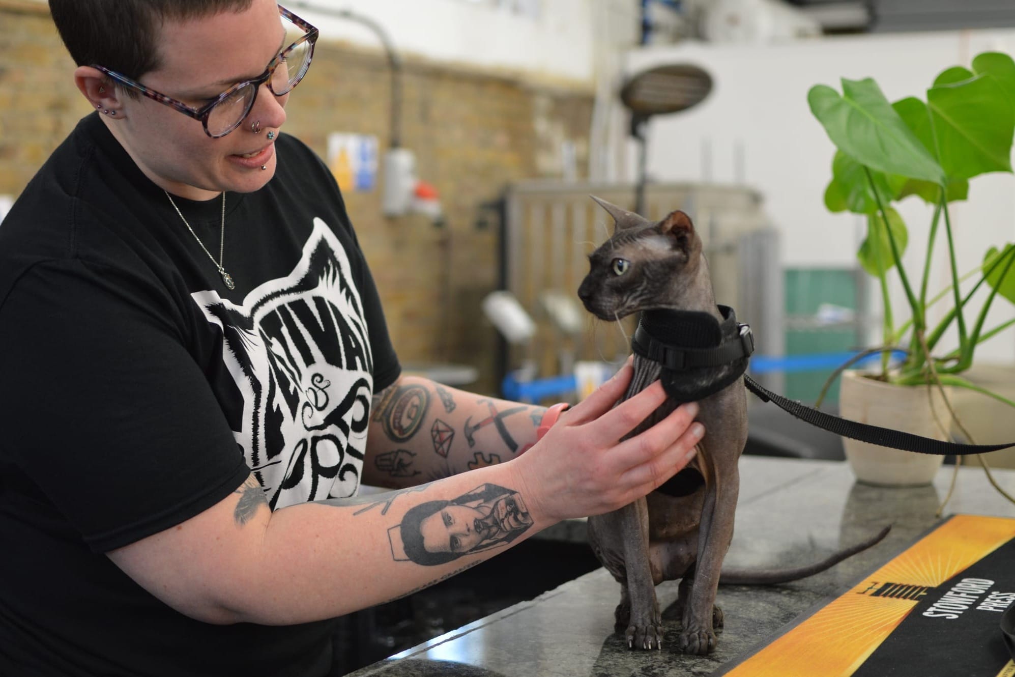 A woman handles a cat wearing a harness