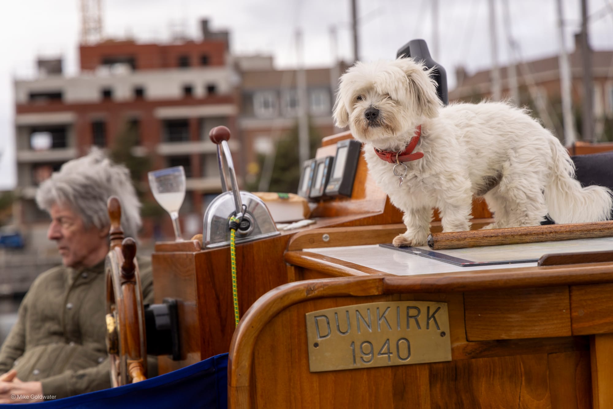 A scruffy white dog on a vintage boat