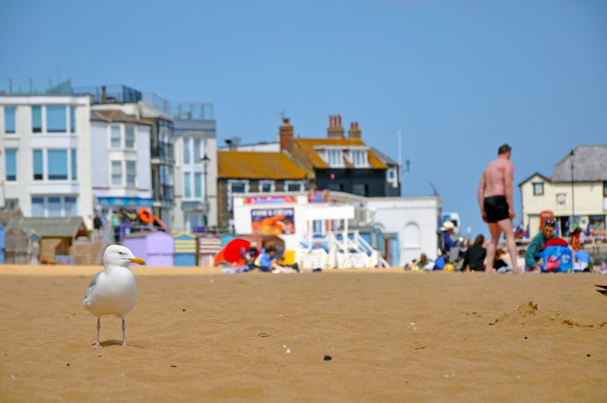 Things to do: Strawberries, Thali &Things, George & Heart Post feature image