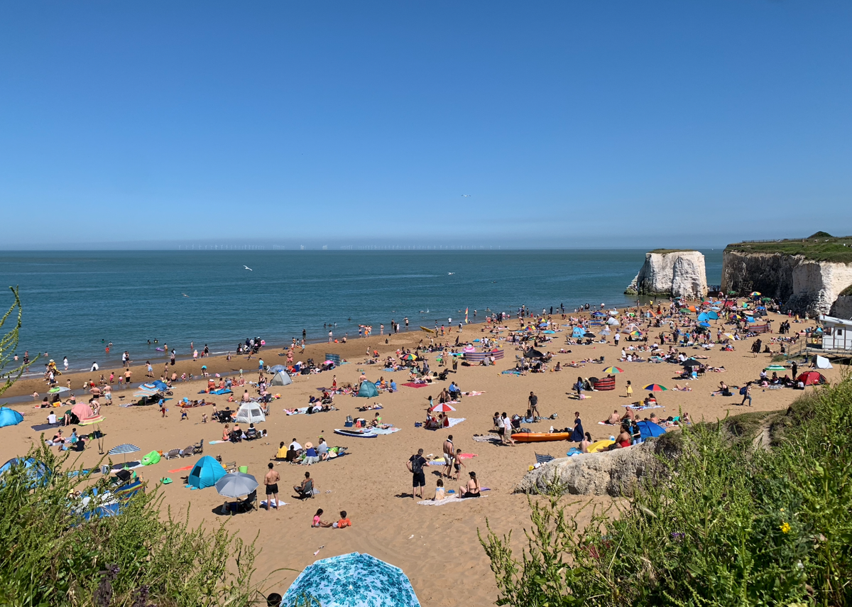 Things to do: Garden Gate Music Day, Rakookoo, Margate Ceramics Market Post feature image