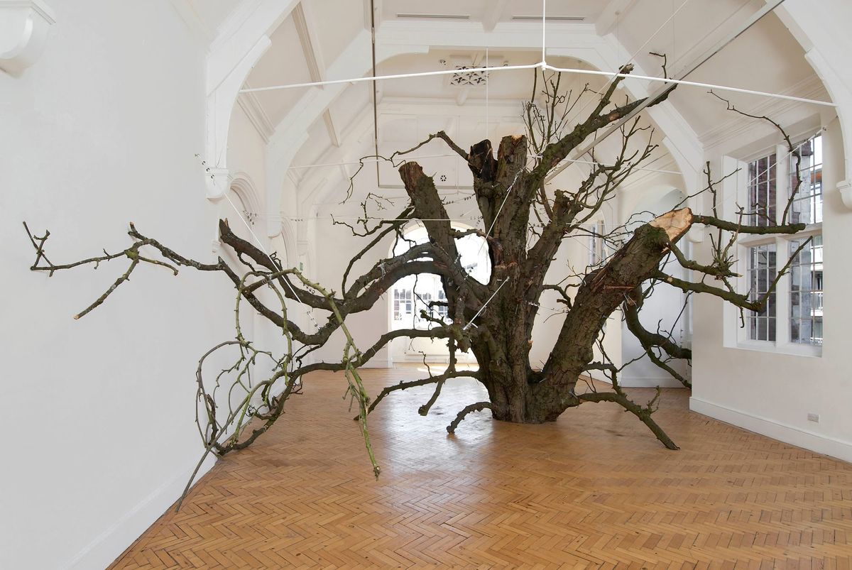 Things to do: Living art, cheap wine, doggy dopamine hit Post feature image