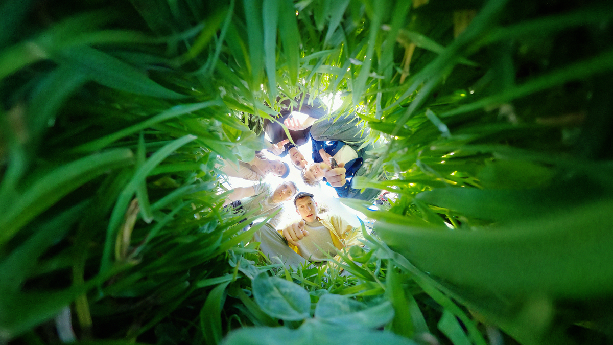 News and things to do: Get creative, have a dance, get among the trees Post feature image