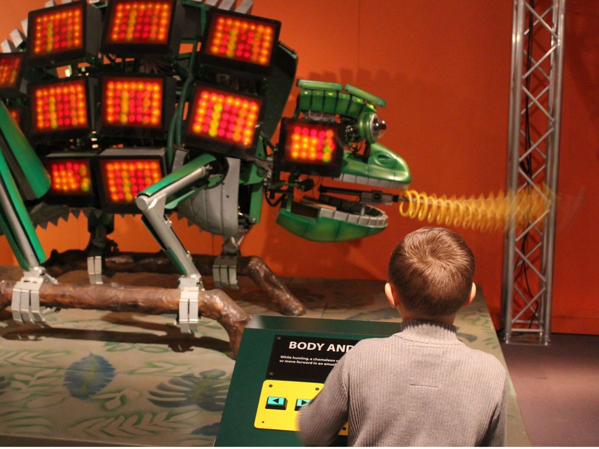 February 2025 half term survival guide Post feature image