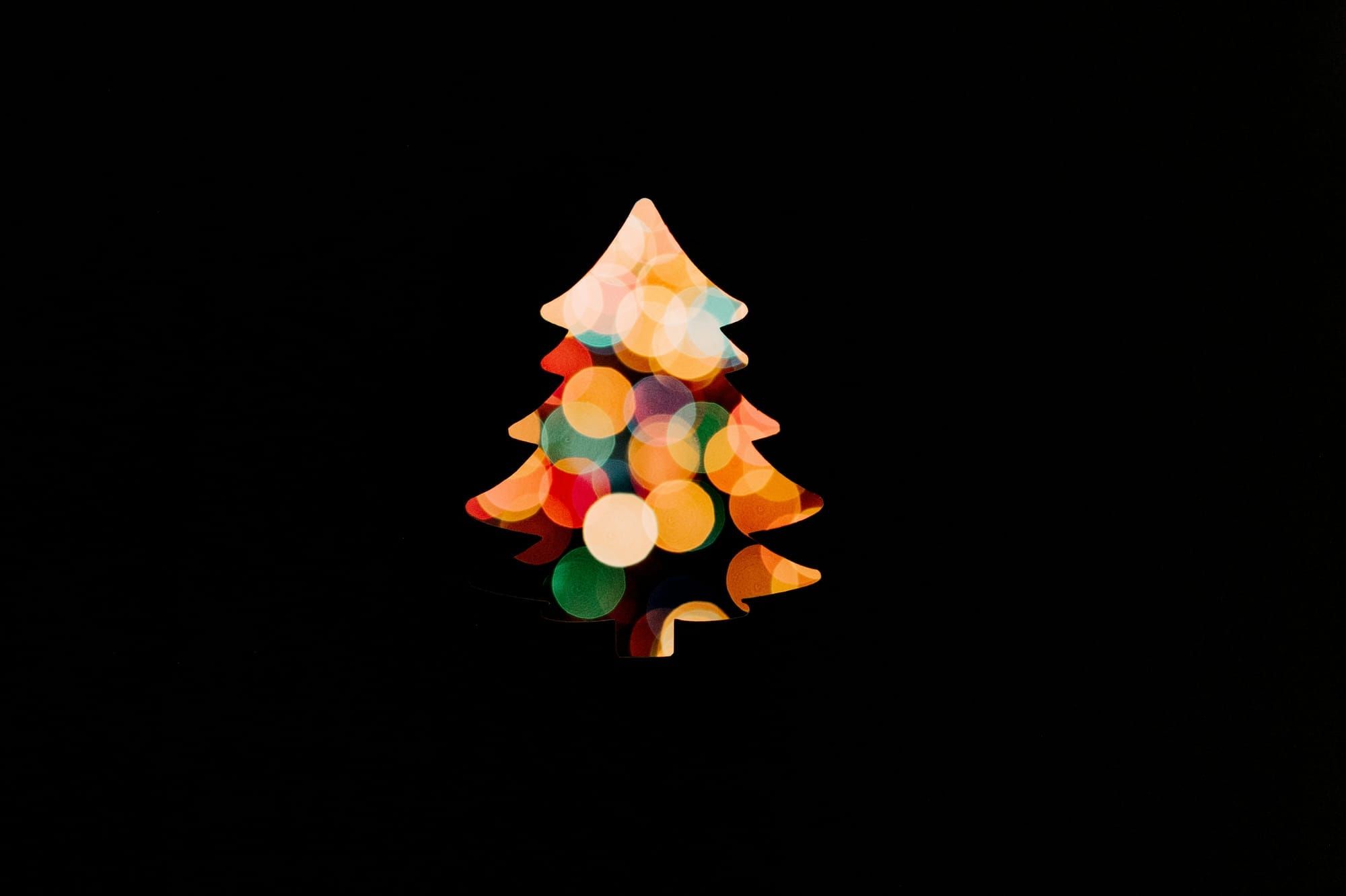 News and things to do: Christmas and on into the New Year Post image