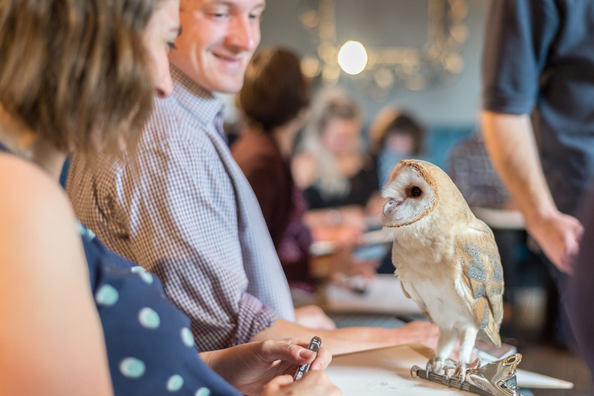 Incoming: Owls striking a pose and more Post image