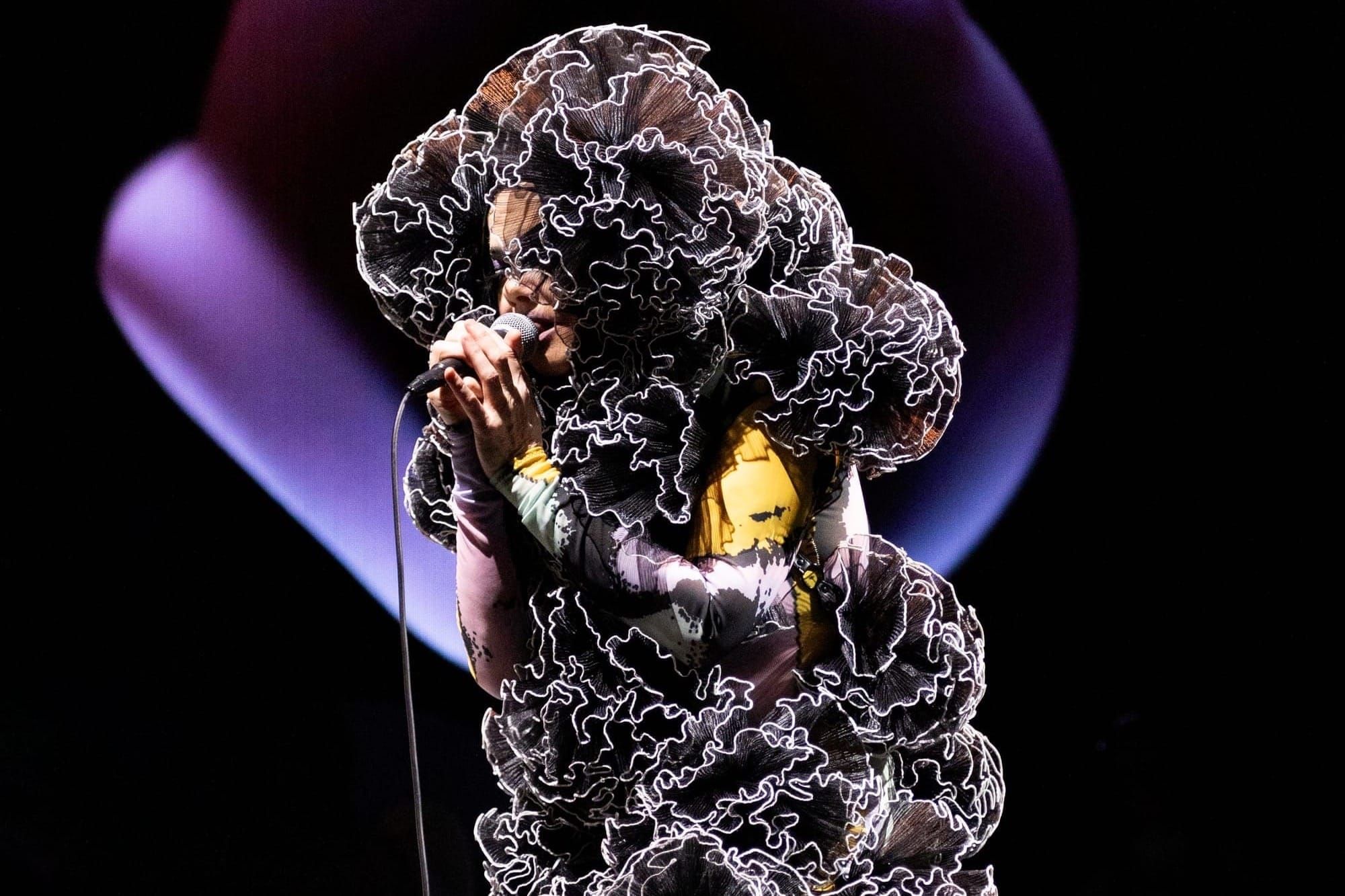 Incoming: Björk, John Cooper Clarke, Red Richardson Post image