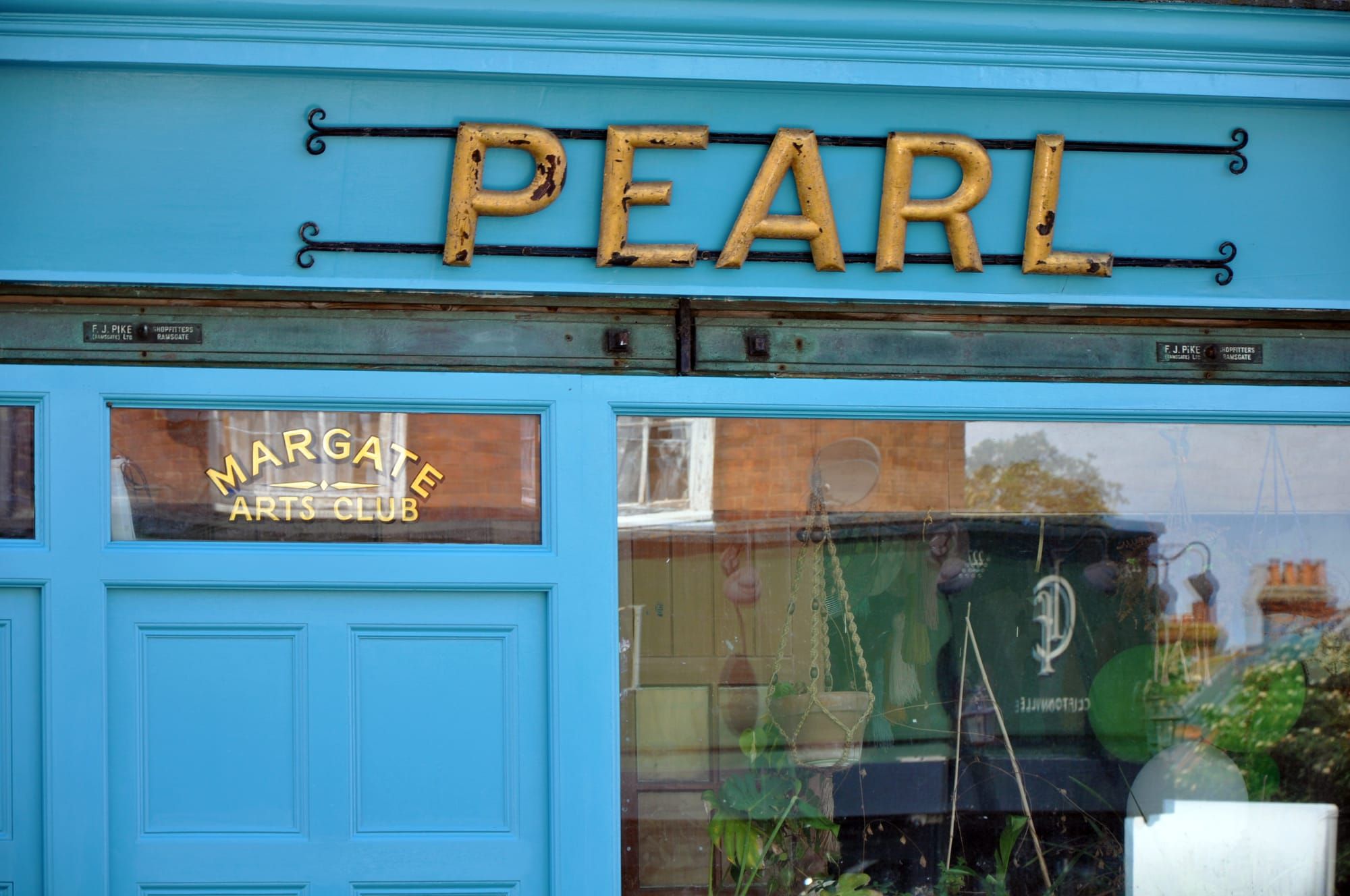 News and things to do: Epic art trail, lots of gigs, big screen cat videos Post feature image