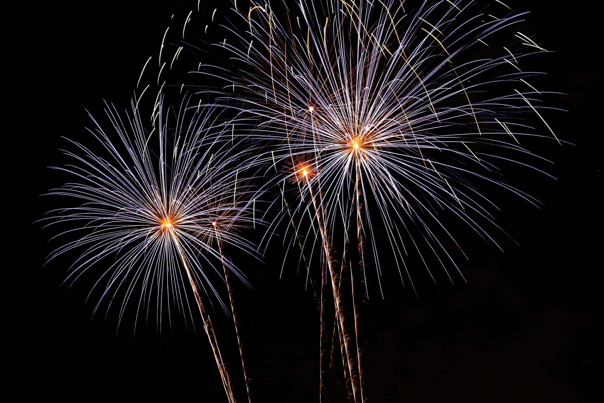 Fireworks in the night sky