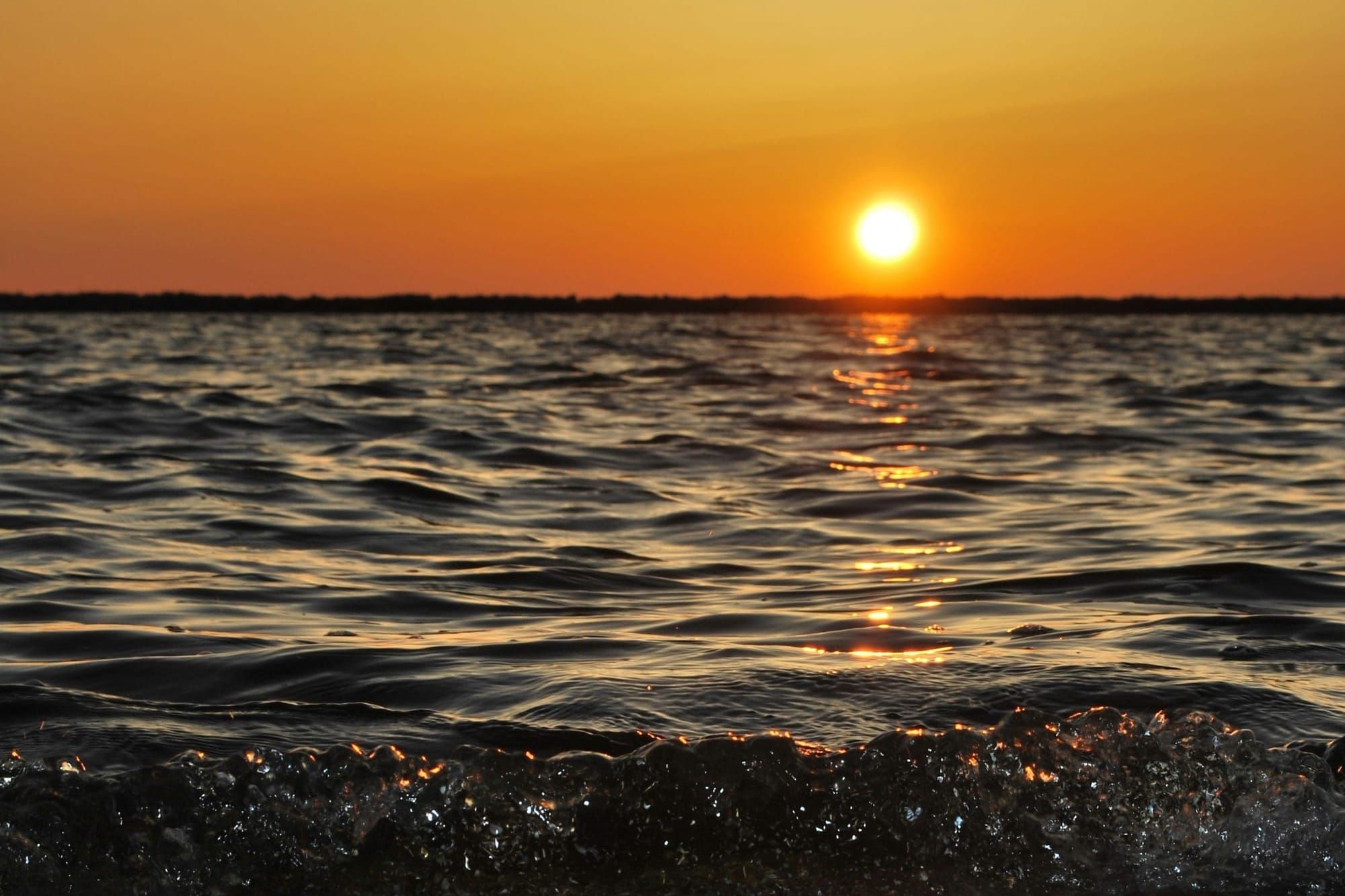 Things to do in Thanet and beyond this week (June 15-21) Post feature image