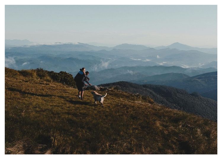 10 Pet-Friendly Hotels in California Worth the Splurge